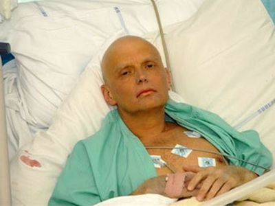 Литвиненко Фото: newsland.ru